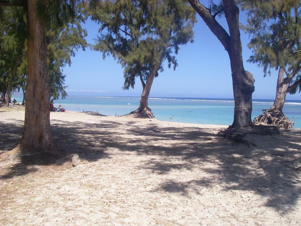 Le Saint Geran - A 3Mn A Pied De La Plage Et De Tous Commerces La Saline-Les-Bains Exterior foto